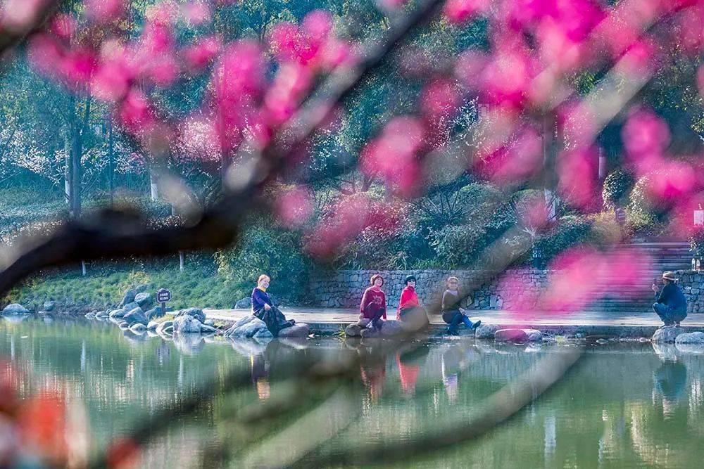 氪金都得不到ssr周棋洛？你还可以拥有这些小奶狗呀